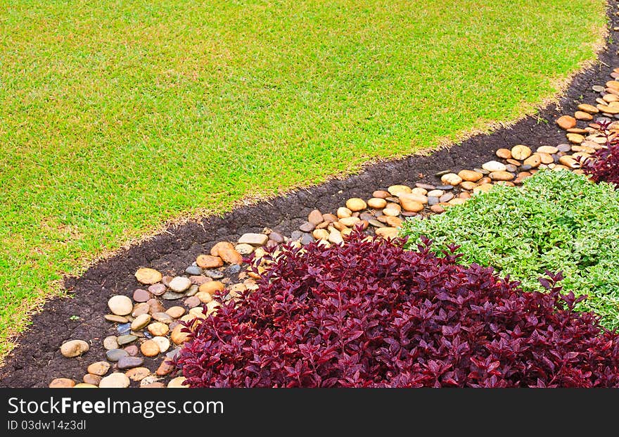 Contrast plants curved