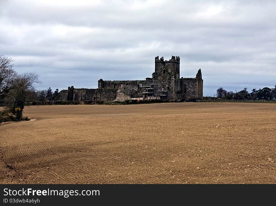 Dunbrody Abbey