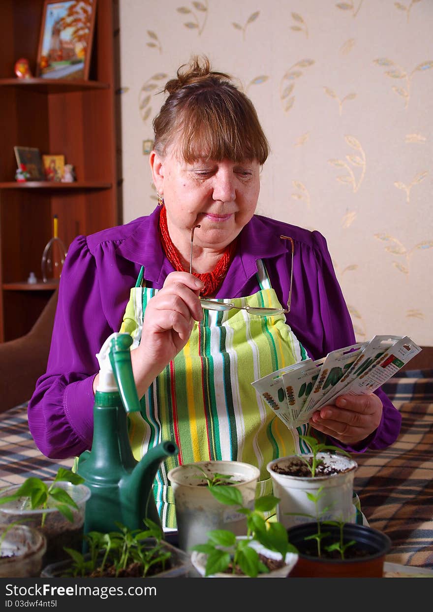 Pensioner chooses the seed for planting