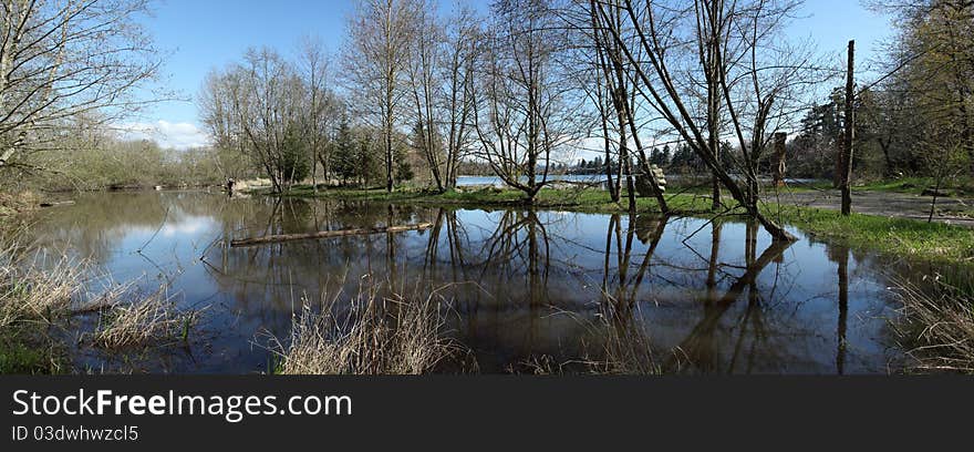 A panoramic pond in Fairview OR brushes and trees on a sunny day. A panoramic pond in Fairview OR brushes and trees on a sunny day.