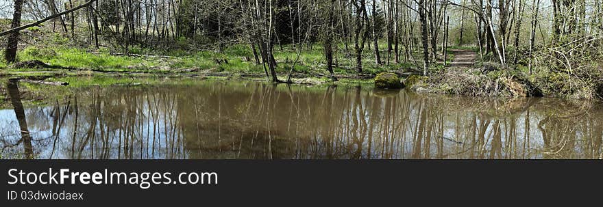 A pond and forest.