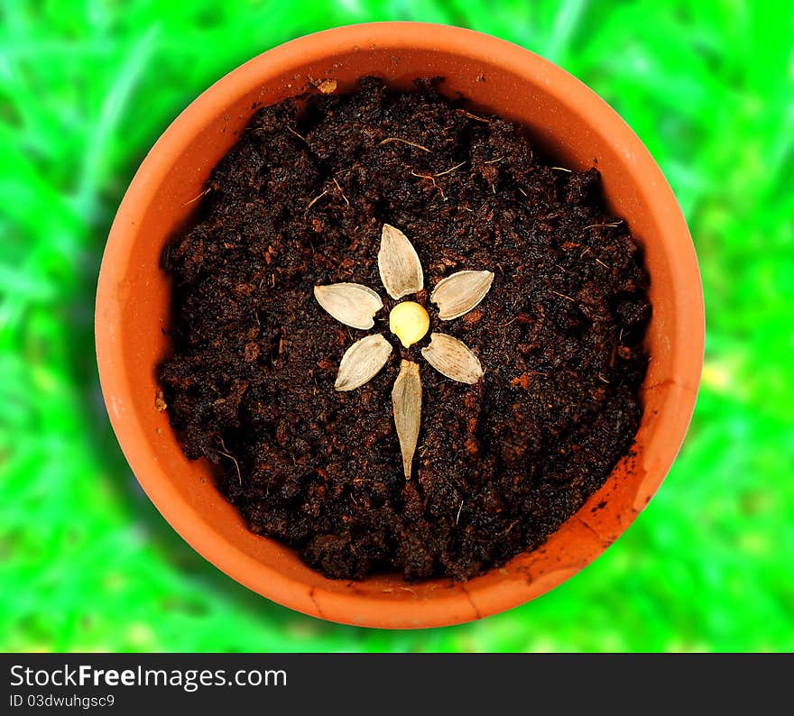 A flower made out of seeds in a flower pot full of soil. Bright green grass in the background. A flower made out of seeds in a flower pot full of soil. Bright green grass in the background.