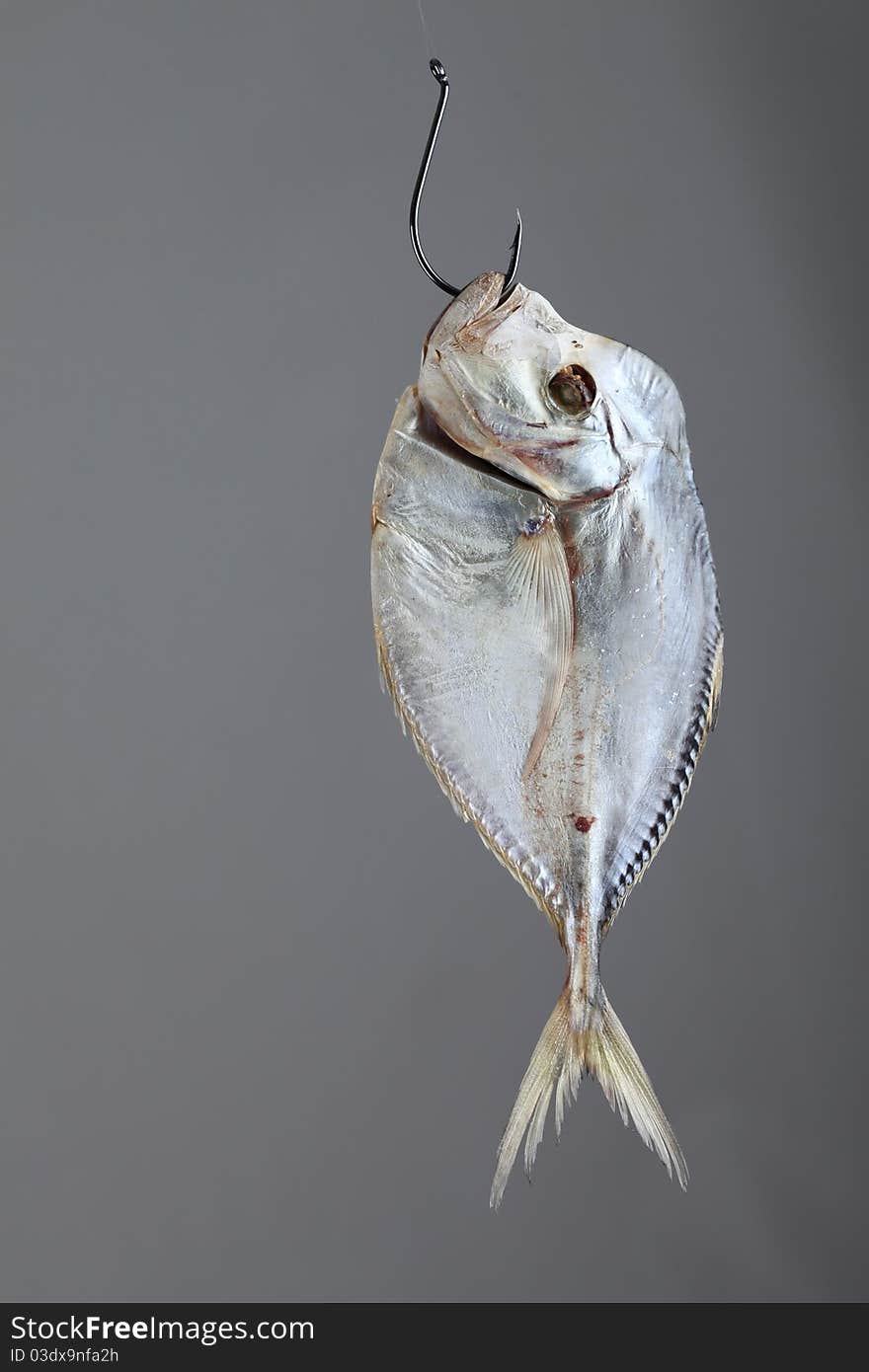 Dried fish on an iron hook. Dried fish on an iron hook