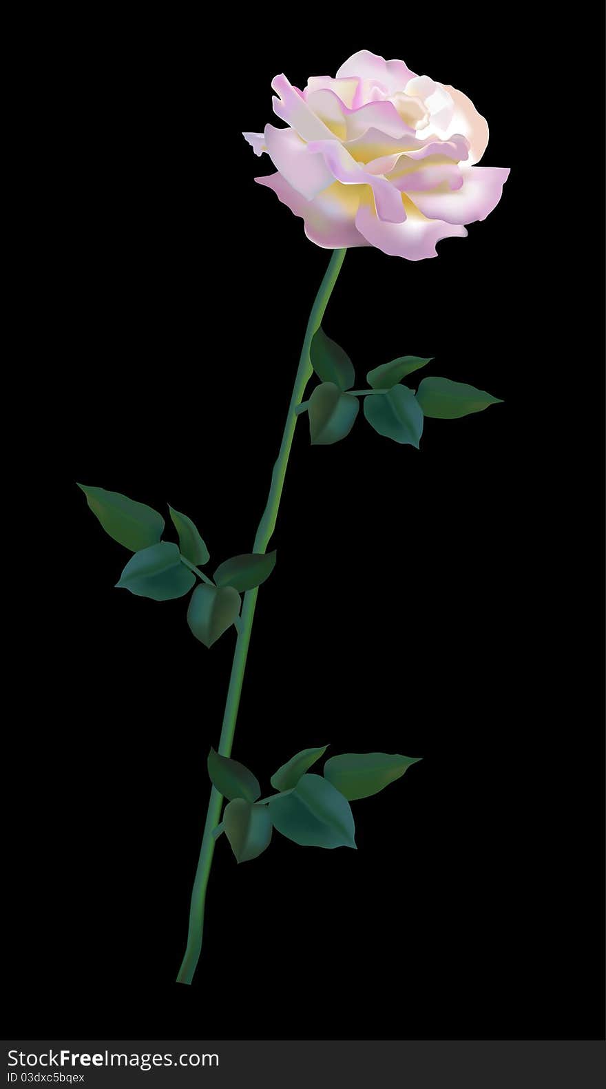 Rosa Gloria Dei. Vector rose.