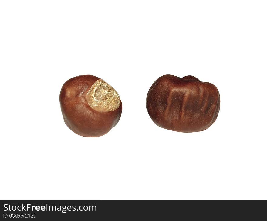 Two Ripe Chestnut Isolated On White Background