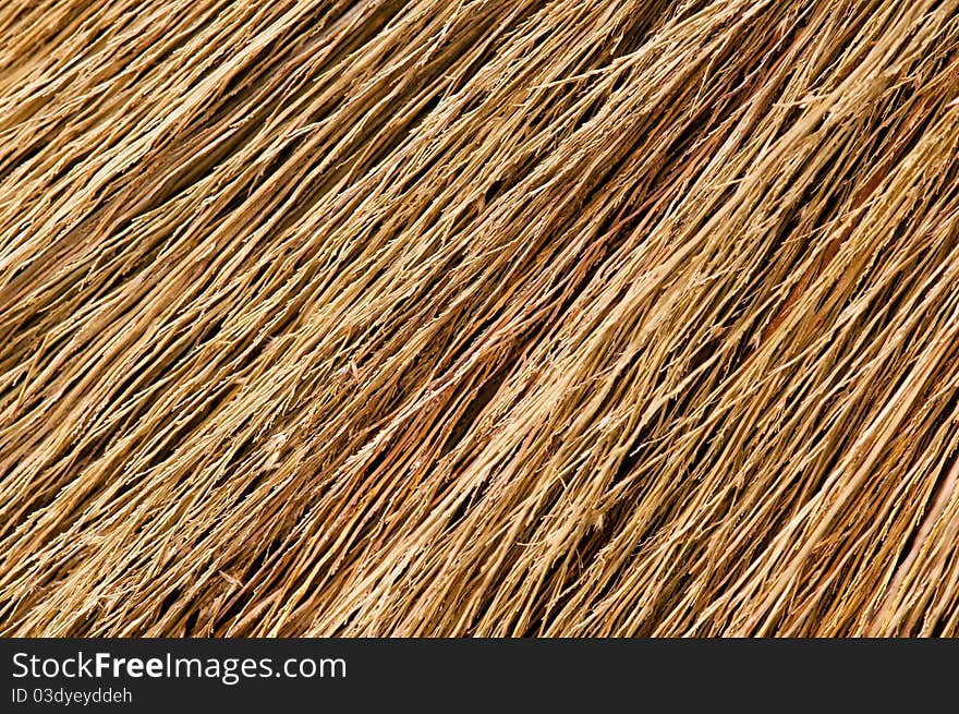 Close up detail of a broom texture. Grunge texture of dry grasson.