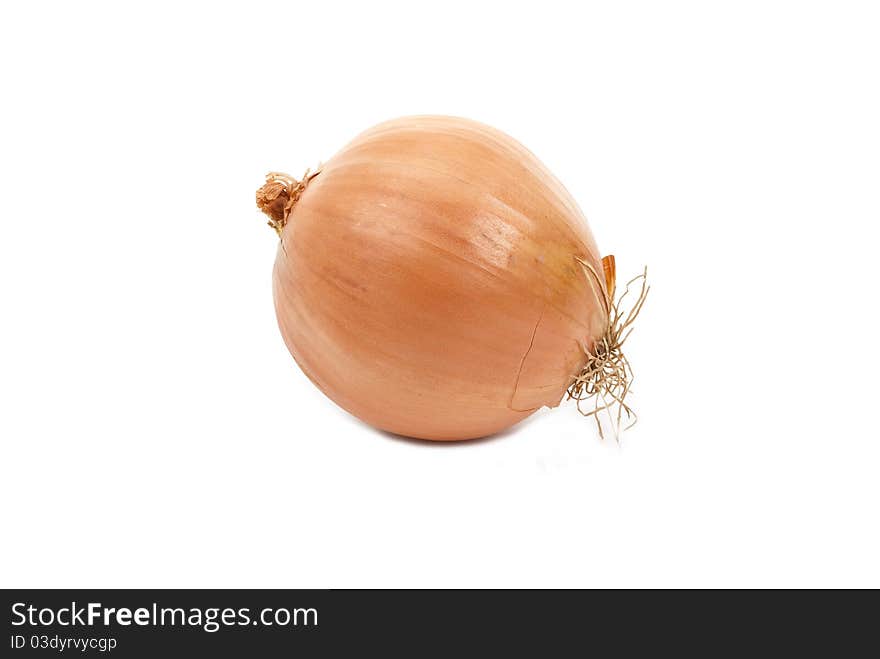 Onion