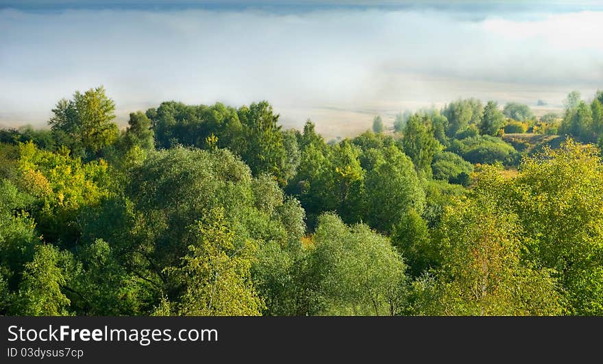 Landscape with mist and tree.