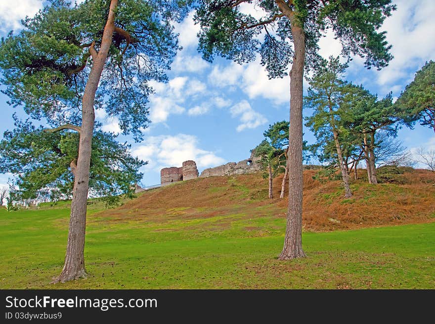 Castle and trees