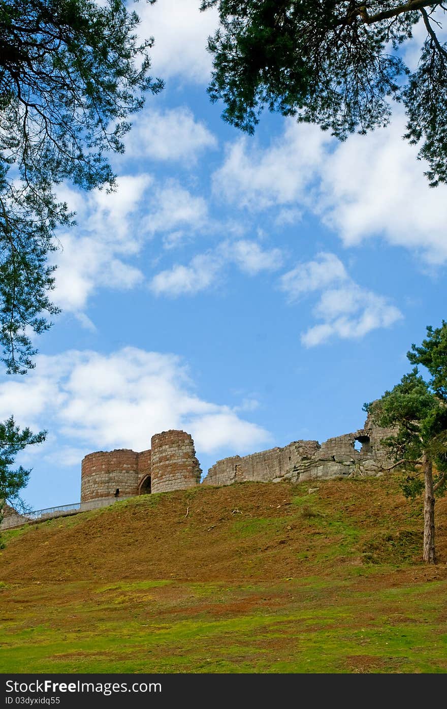 Castle framed by the trees