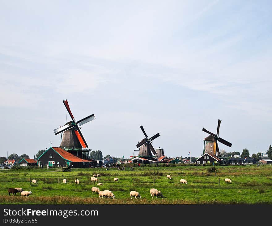 Dutch Windmills , Netherlands