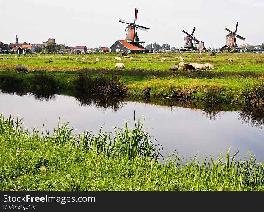 Dutch Windmills In Netherlands