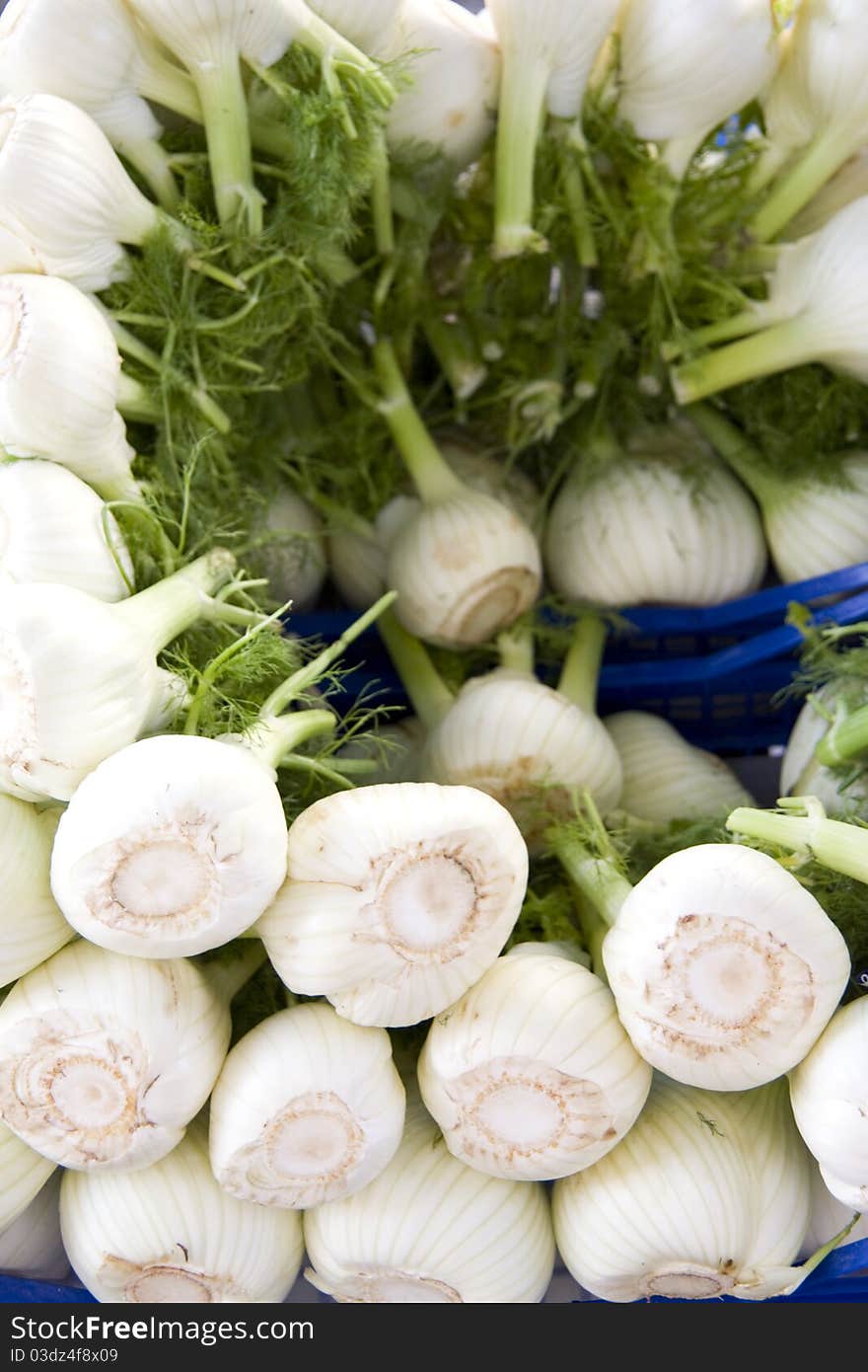 Fennel In A Circle At Market