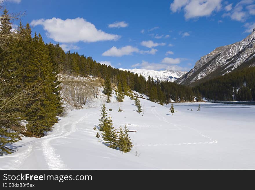 Snowshoe prints forming a trail in untouched powder sow surface coming from far away. Snowshoe prints forming a trail in untouched powder sow surface coming from far away.