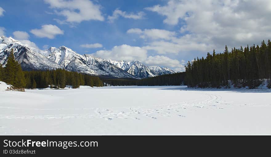 Snow Shoeing in Banff National Park