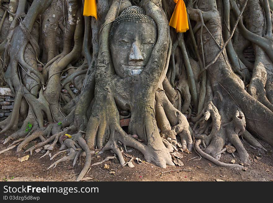 Head of The Sand Stone Buddha Image in wat mahathat temple, Ayutthaya Thailand