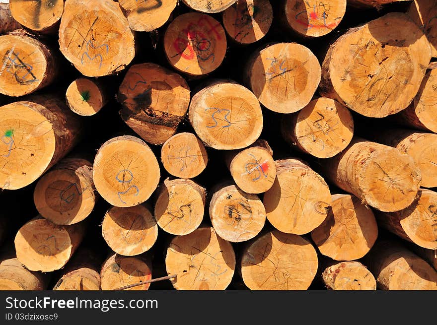 A batch of   cutted logs