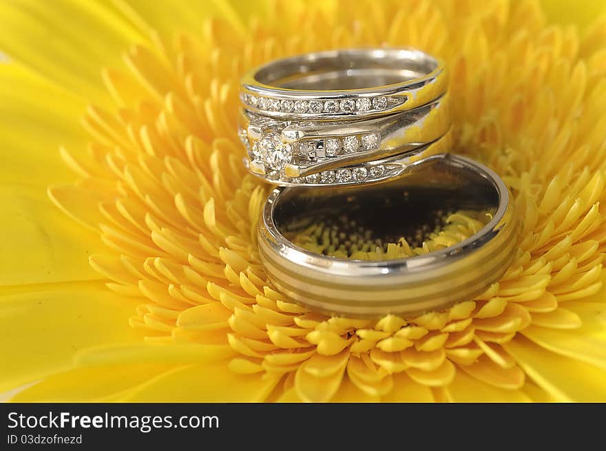 Wedding rings on a yellow flower