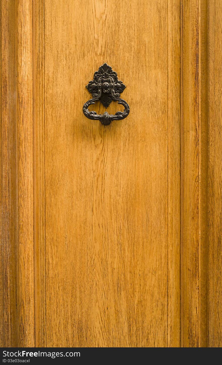 Closeup image of old door with iron handle/knocker