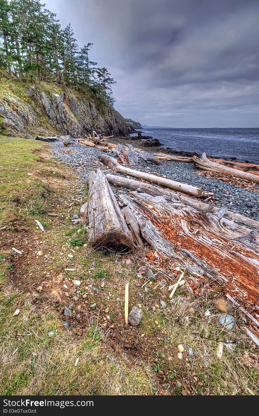 Wilderness shoreline