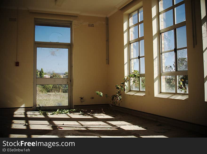 Blackberry vine creeping through windows at Willow Court, an abandoned asylum in Tasmania. Blackberry vine creeping through windows at Willow Court, an abandoned asylum in Tasmania.