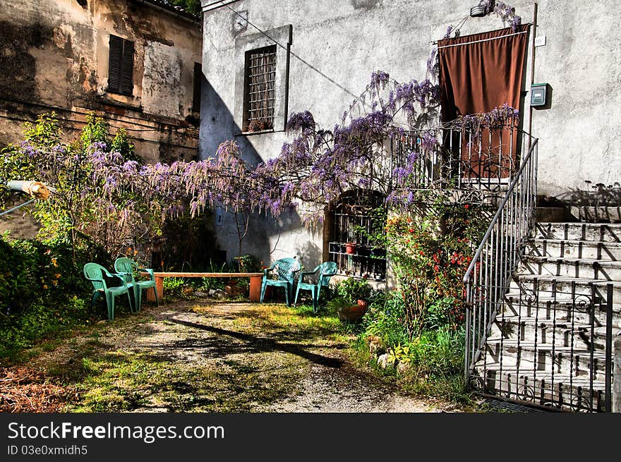 A beautiful garden with whisteria in HDR. A beautiful garden with whisteria in HDR