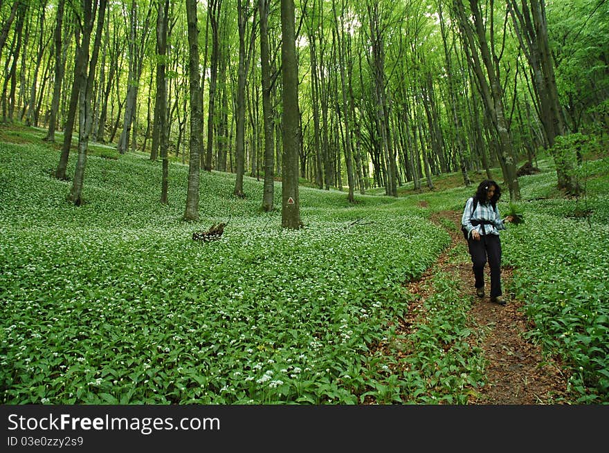 Pathway in green forest with a trekking girl