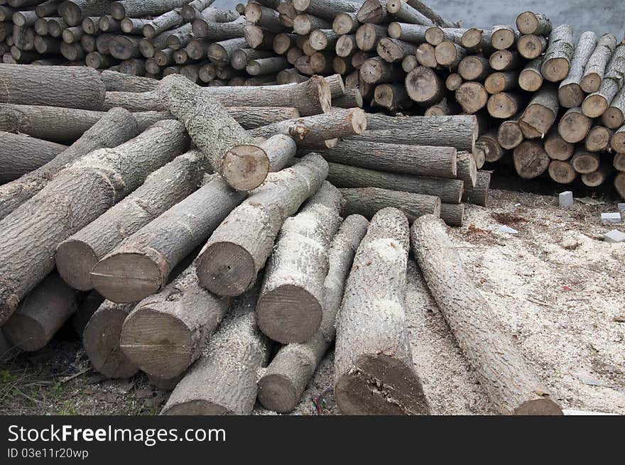 Stacking wood at timber market