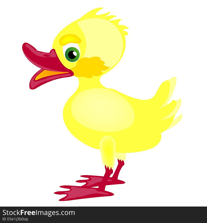 Nice yellow chicken on white background. Nice yellow chicken on white background