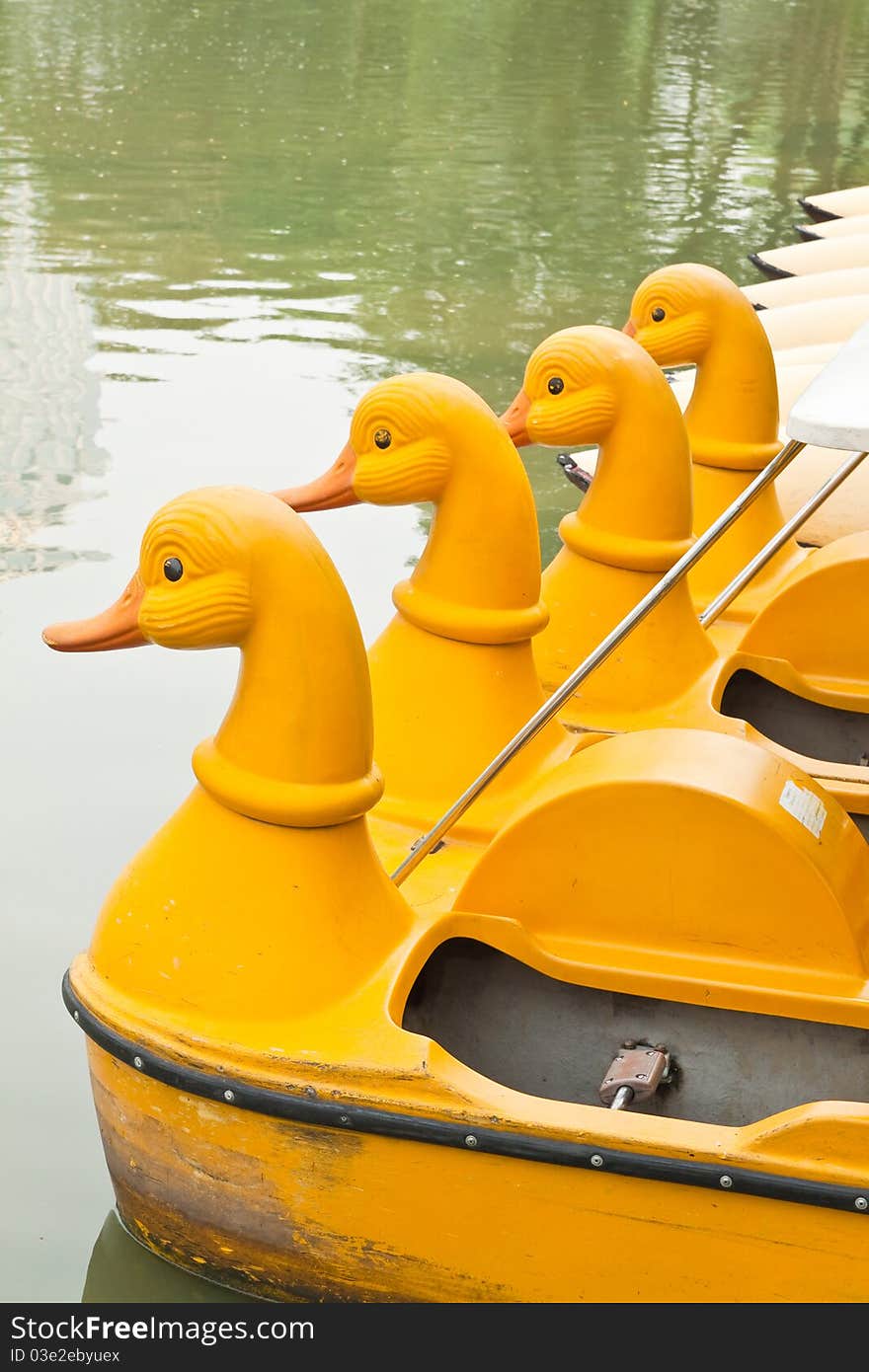 Row of Water Bicycle in the Lake