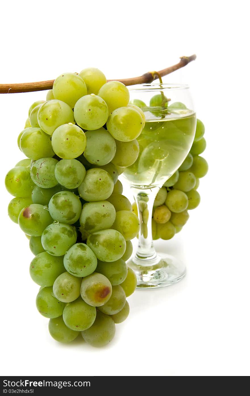 Vine and glass of wine on a white background