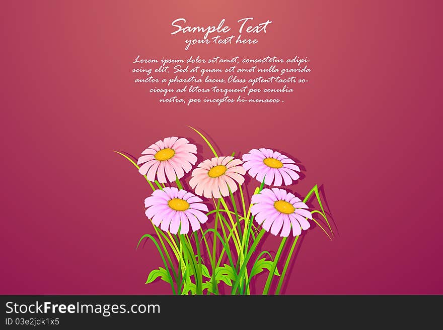 Illustration of bunch of daisy flowers on abstract background