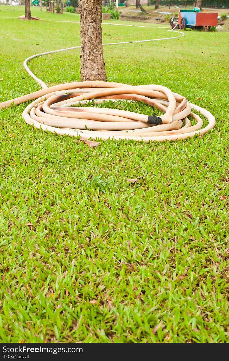 Reel of hose pipe in the garden