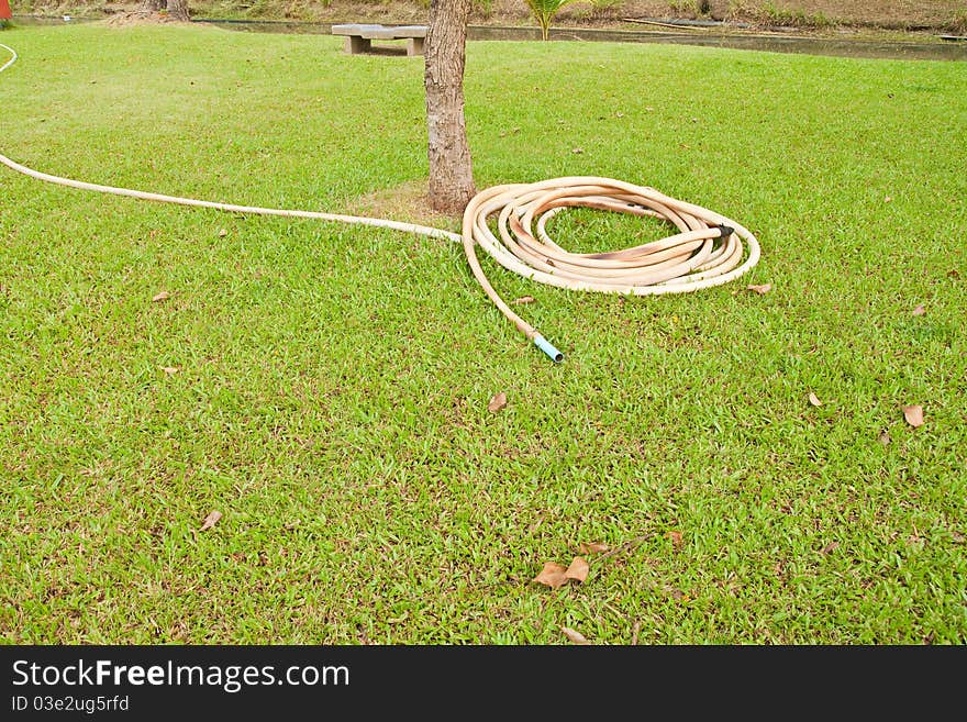 Reel of hose pipe in the garden