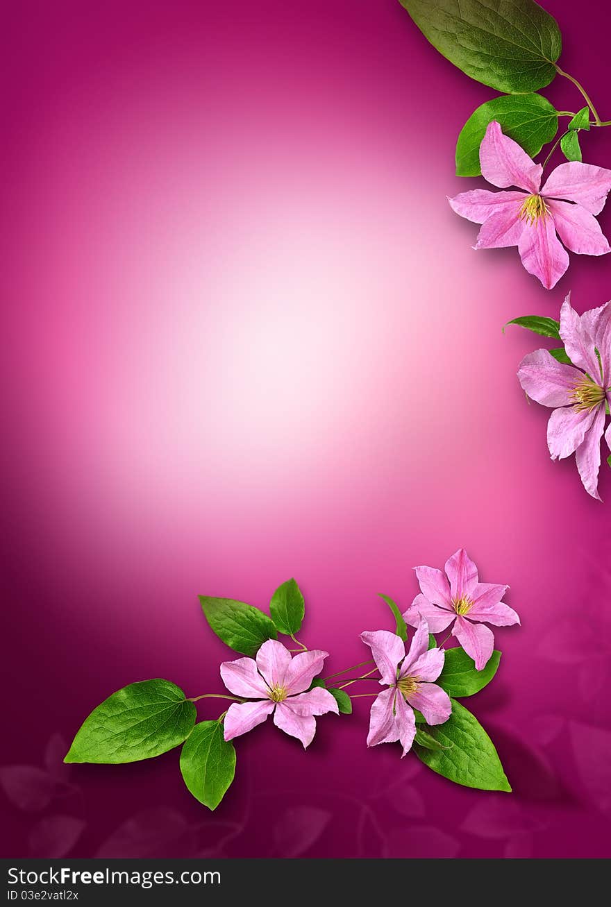 Background With Flowers_clematis