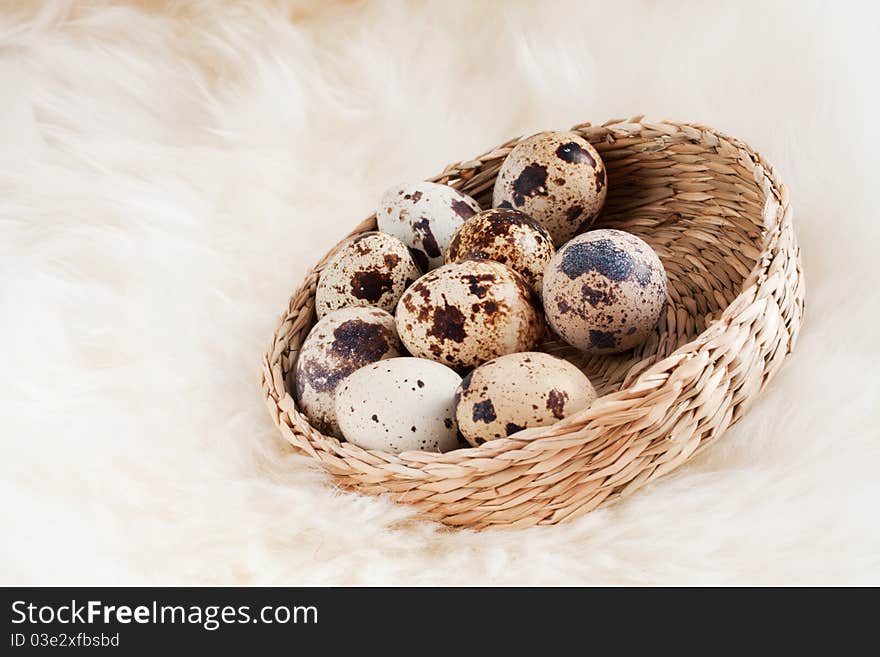 Group colored quail eggs in a beautiful basket