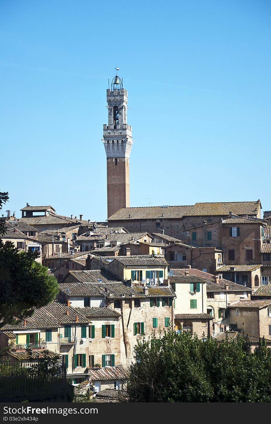 Siena -  Italy