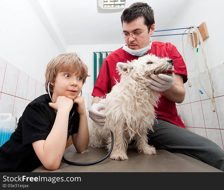 Little boy at vet with his dog