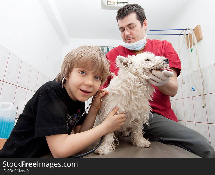 Little boy at vet listening to his dog's heartbeats in stethoscope. Little boy at vet listening to his dog's heartbeats in stethoscope