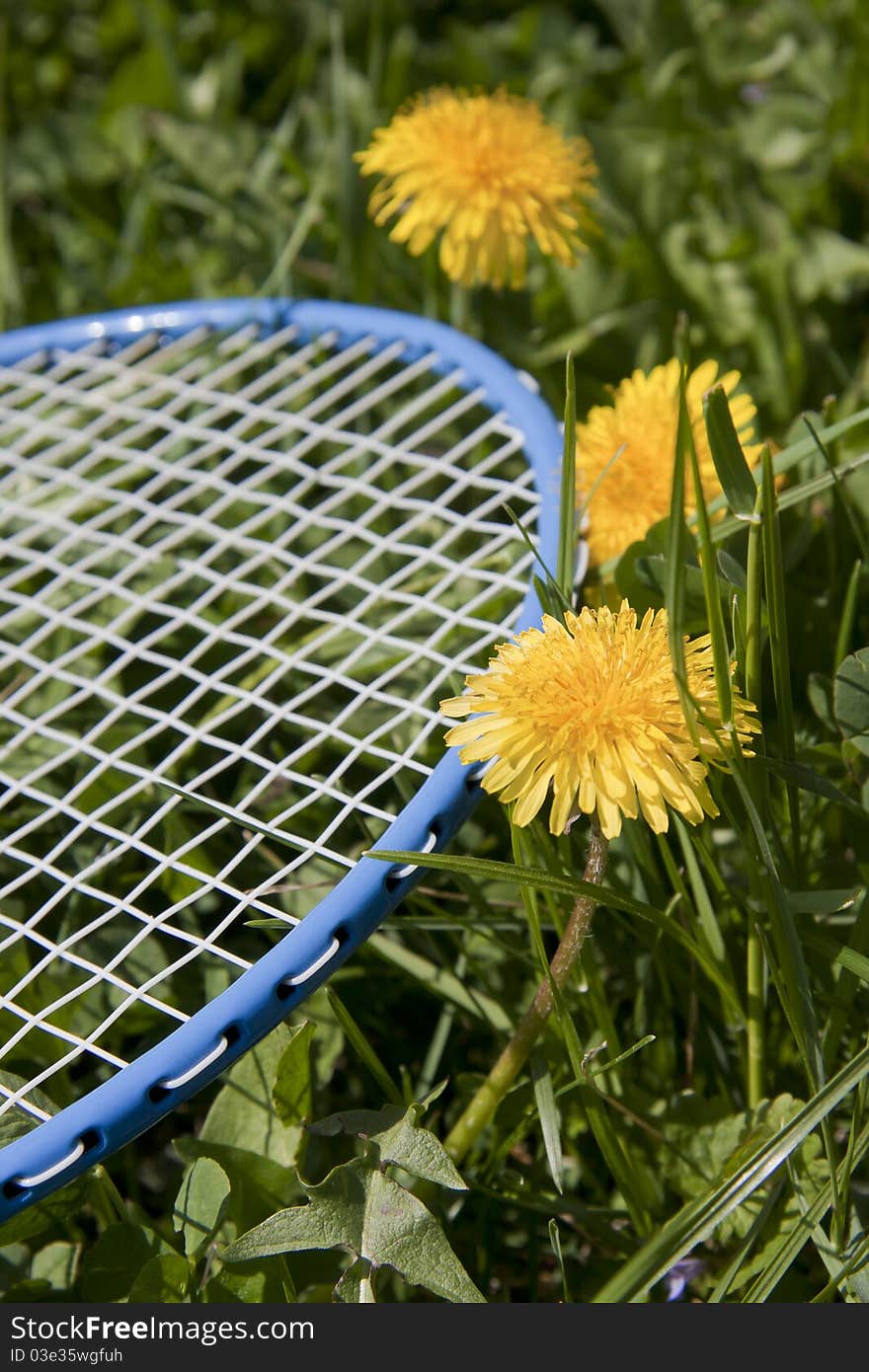 Blue badminton racket in grass. Blue badminton racket in grass