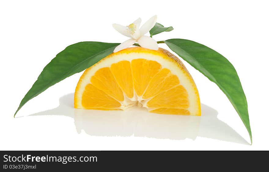 Orange, flower and slice.