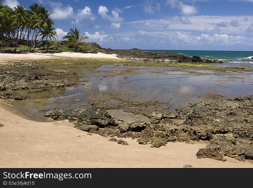 A coral beach in Itacaré, Bahia, Brazil. A coral beach in Itacaré, Bahia, Brazil