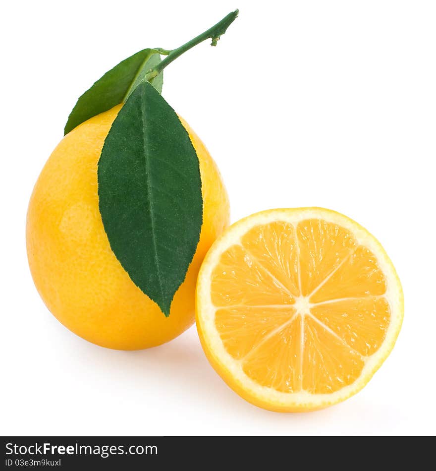 Fresh lemon citrus isolated on white background