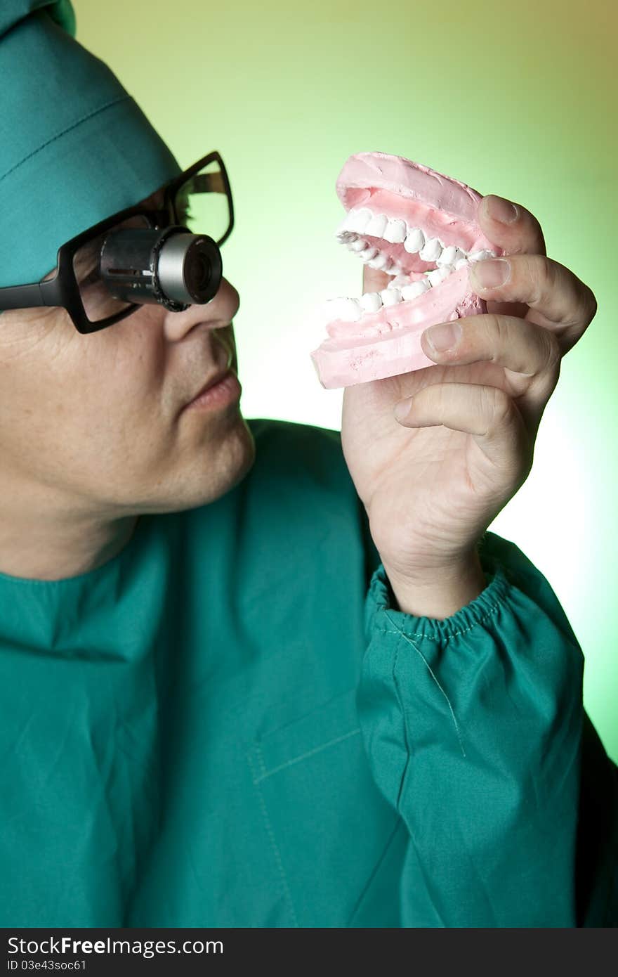 Dentist with gypsum model of human teeth