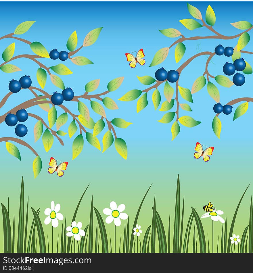 Blueberries with butterflies and bees. Blueberries with butterflies and bees