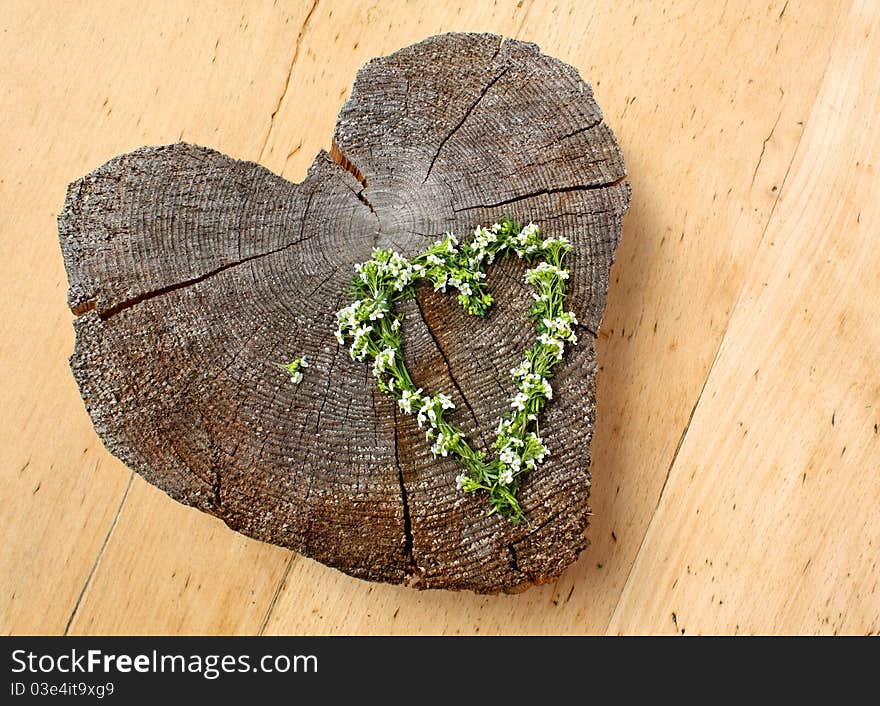 Heart of wood an white flowers in a heart shaped, against wood background. Heart of wood an white flowers in a heart shaped, against wood background