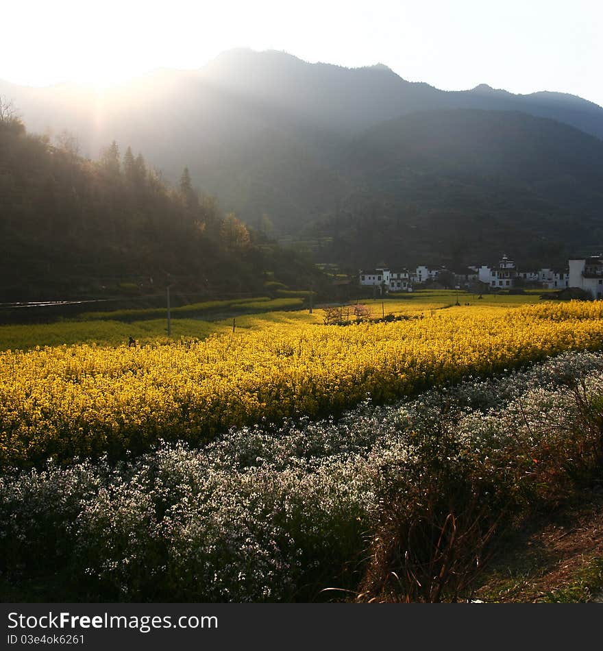 It is a beautiful village in chinese country