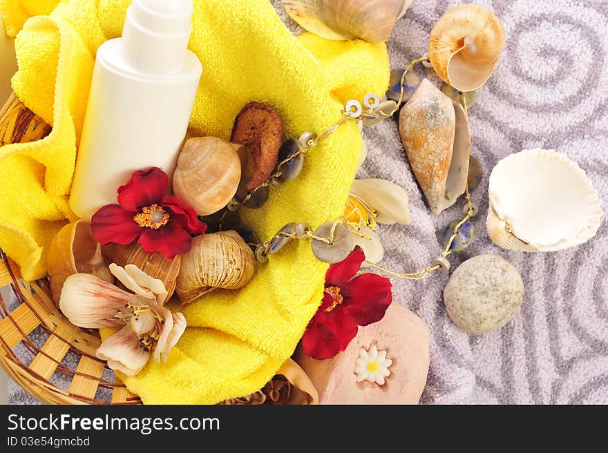 Cosmetics and shells as a concept of natural cosmetics. Cosmetics and shells as a concept of natural cosmetics