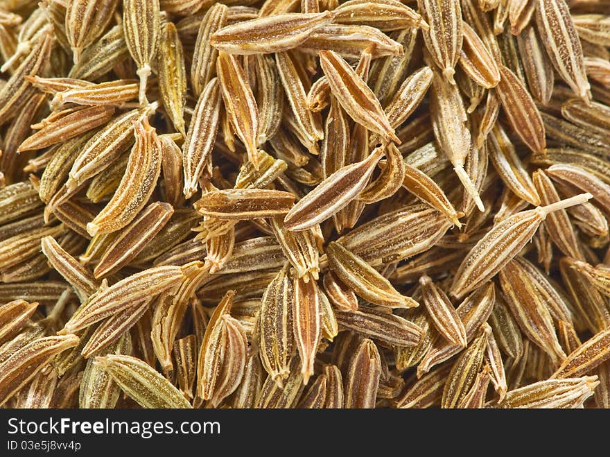 Berry Cumin