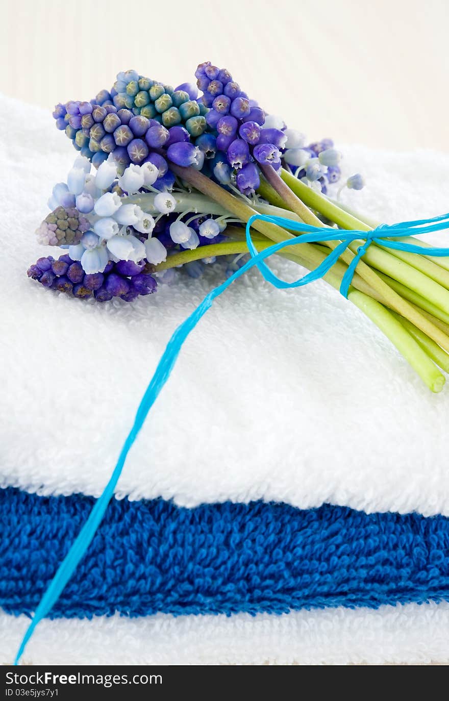 Tower of white and blue towels with bouquets muscari. Tower of white and blue towels with bouquets muscari